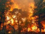 Kebakaran Hutan Mengganas! Hampir 9000 Hektare Lahan Terbakar Sejak Januari