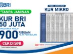 Jenis dan Cara Mengajukan KUR BRI 2025, Syarat, dan Tabel Angsuran Terbaru Jenis dan Cara Mengajukan KUR BRI 2025, Syarat, dan Tabel Angsuran Terbaru