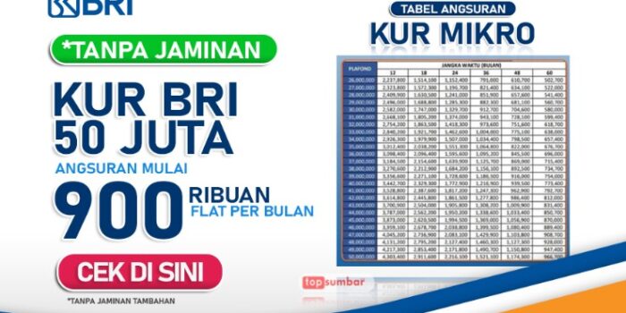Jenis dan Cara Mengajukan KUR BRI 2025, Syarat, dan Tabel Angsuran Terbaru Jenis dan Cara Mengajukan KUR BRI 2025, Syarat, dan Tabel Angsuran Terbaru