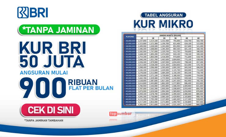 Jenis dan Cara Mengajukan KUR BRI 2025, Syarat, dan Tabel Angsuran Terbaru