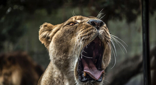 10 Ways to Make Extra Money as a Graphic Designer