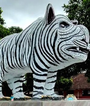 Viral Patung Macan Putih di Kediri, Bentuk Uniknya Bikin Warganet Heboh Viral Patung Macan Putih di Kediri, Bentuk Uniknya Bikin Warganet Heboh