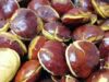 Lampung Jadi Penghasil Jengkol Terbesar di Indonesia 2025, Ini Daftar 10 Provinsinya Lampung penghasil jengkol terbesar